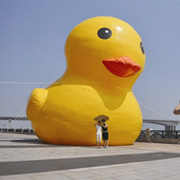 inflatable promotion duck